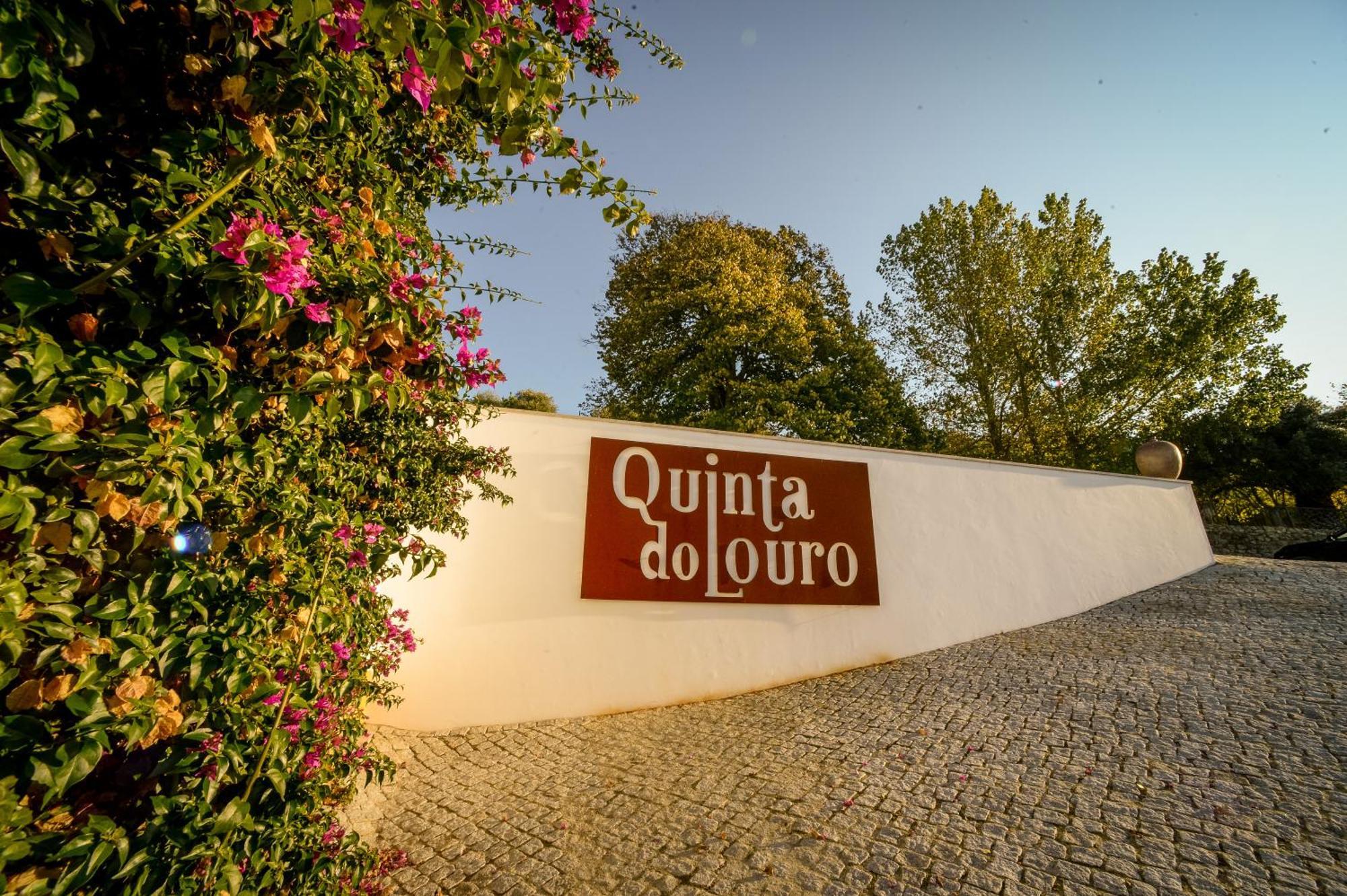Quinta Do Louro Guest House Palmela Exterior photo